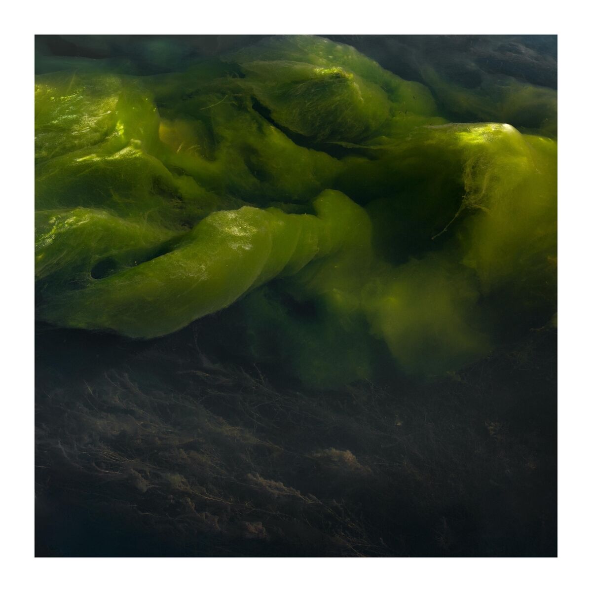Album cover of Supersede