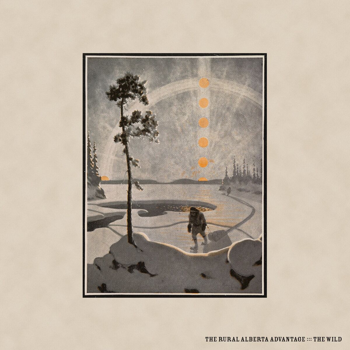 Album cover of White Lights