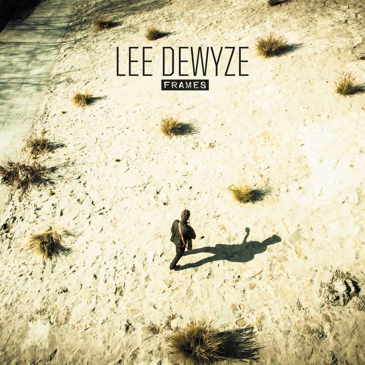 Album cover of Fight