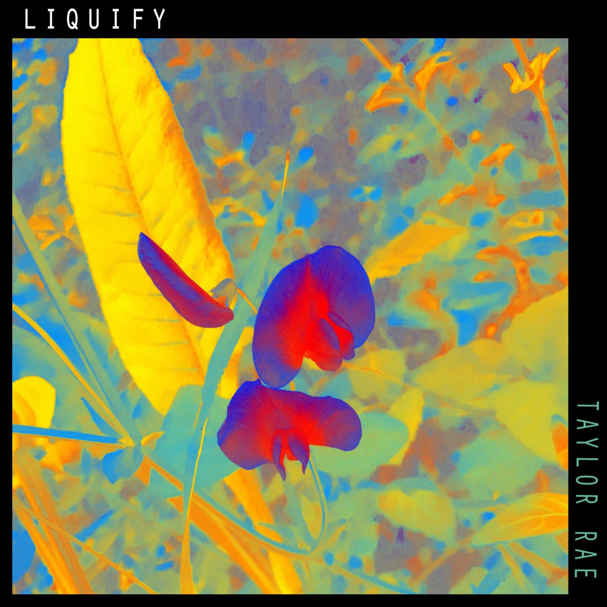 Album cover of Liquify