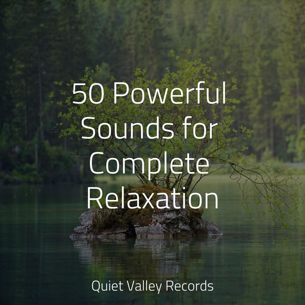Picture of 50 Powerful Sounds for Complete Relaxation