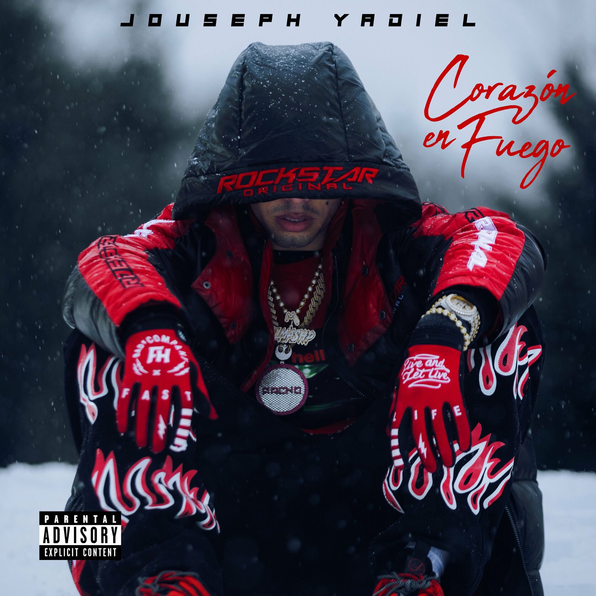 Album cover of Corazón En Fuego