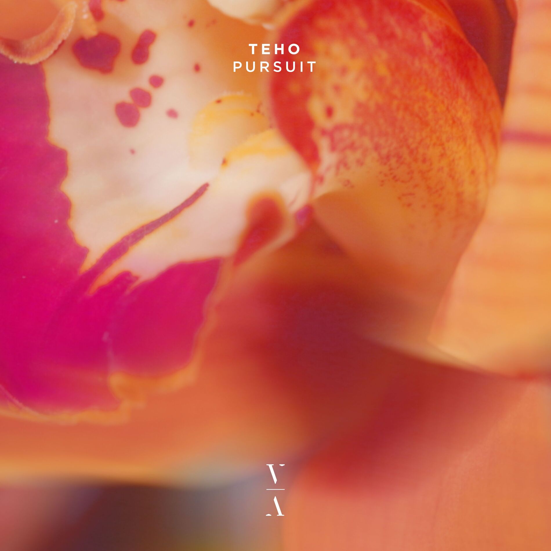 Album cover of Interstice