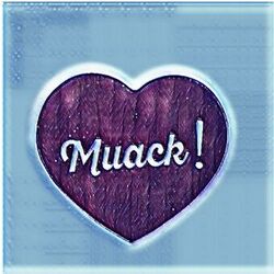 Cover of Si me miras así