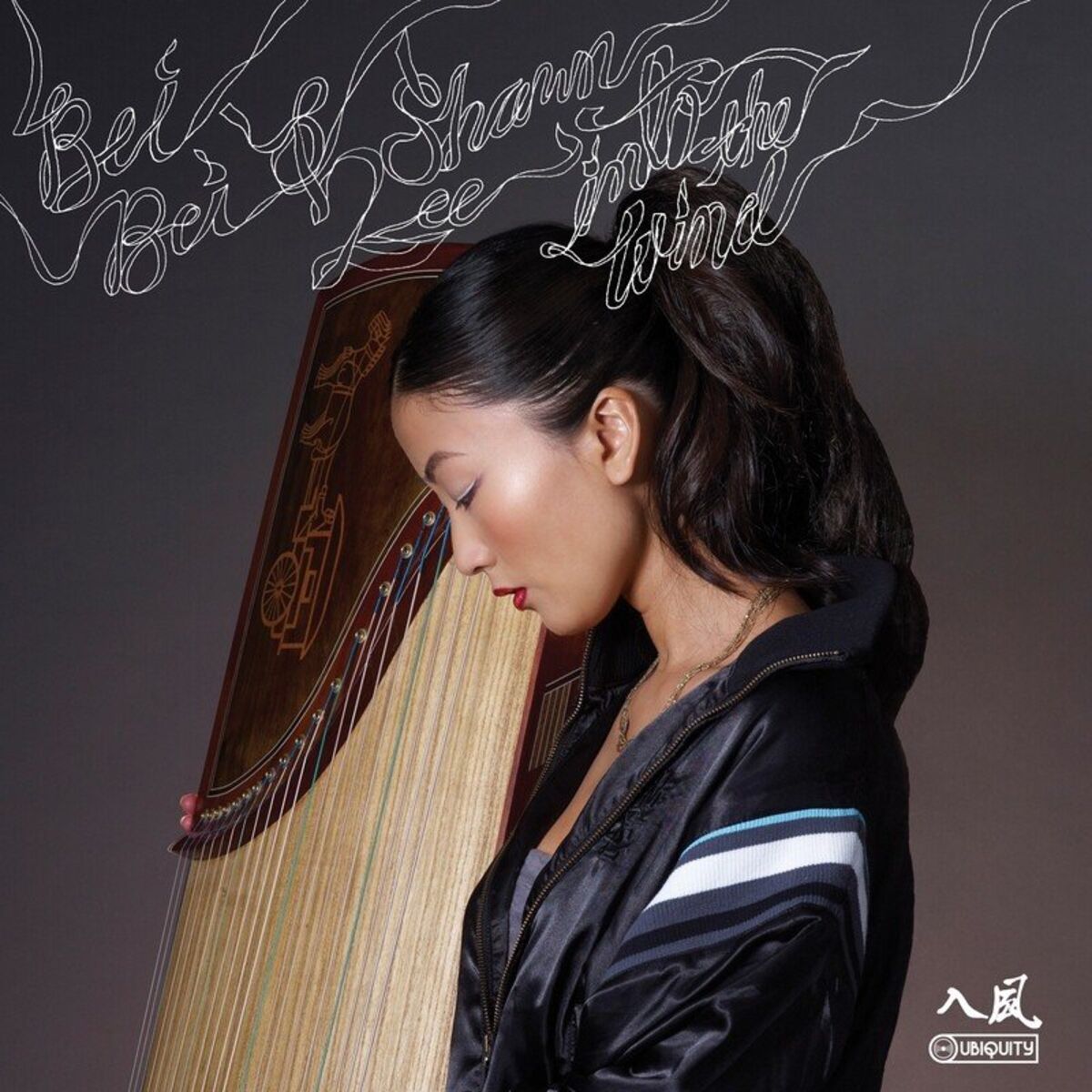 Album cover of Into the Wind