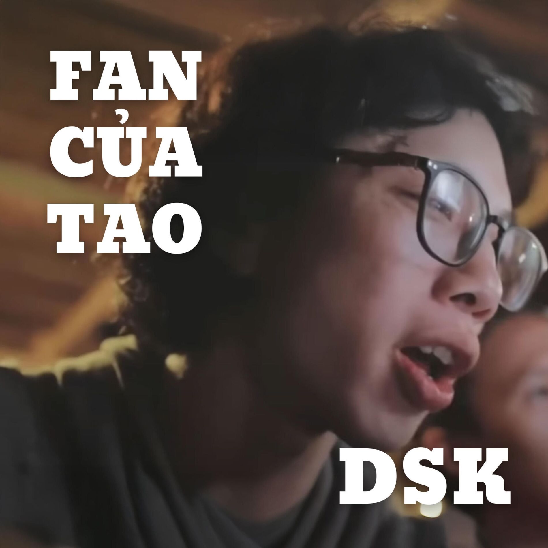 Album cover of Fan Của Tao (feat. DSK)