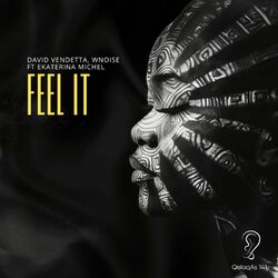 Cover of Feel It