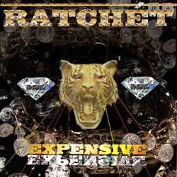 Cover of Expensive