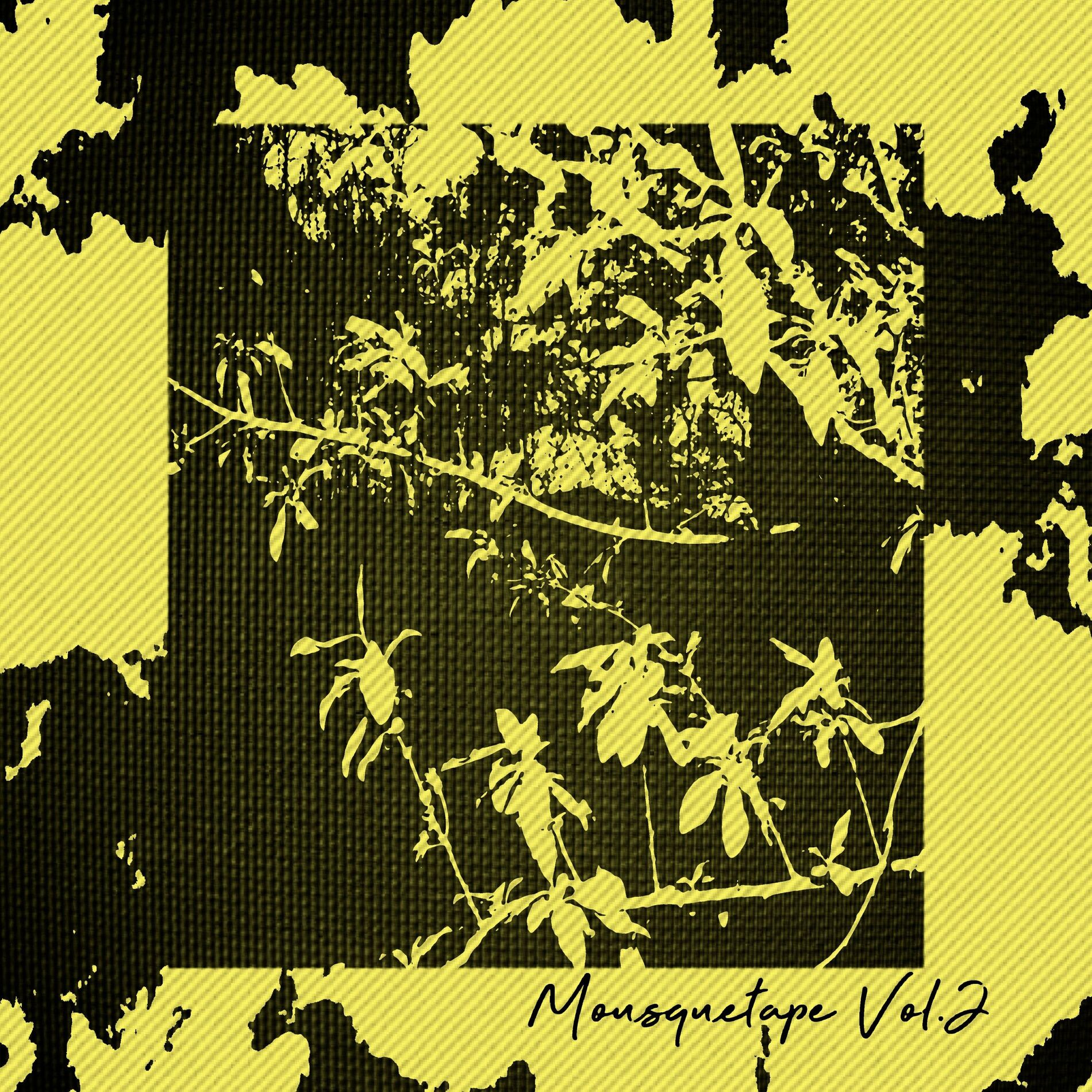 Album cover of MOUSQUE'TAPE, Vol. 2
