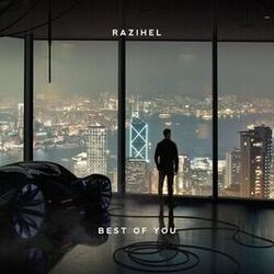 Cover of Best of You