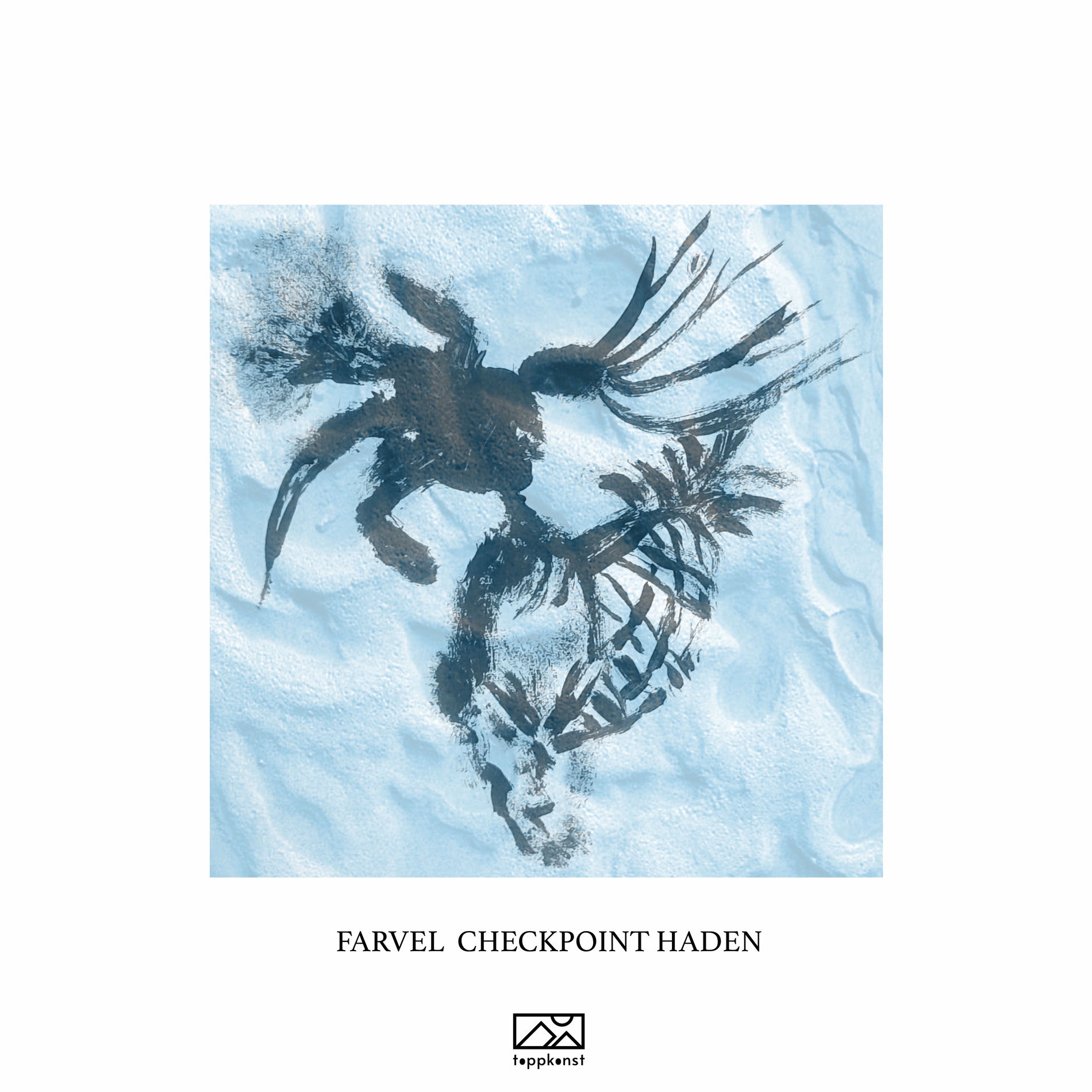 Album cover of Checkpoint Haden