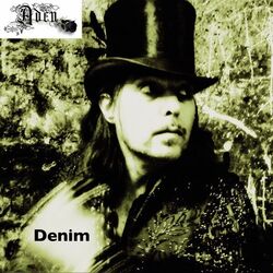 Cover of Denim