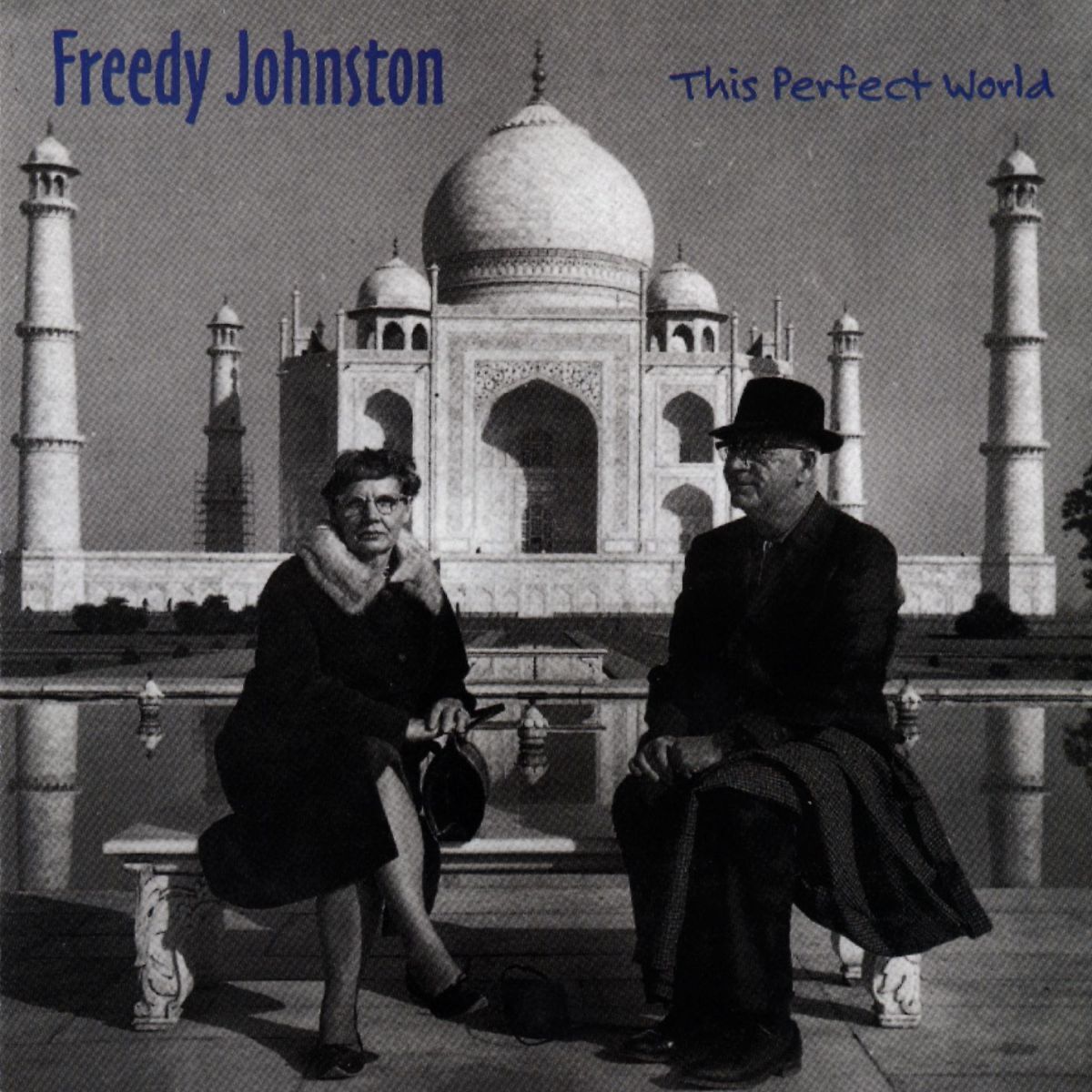 Album cover of This Perfect World