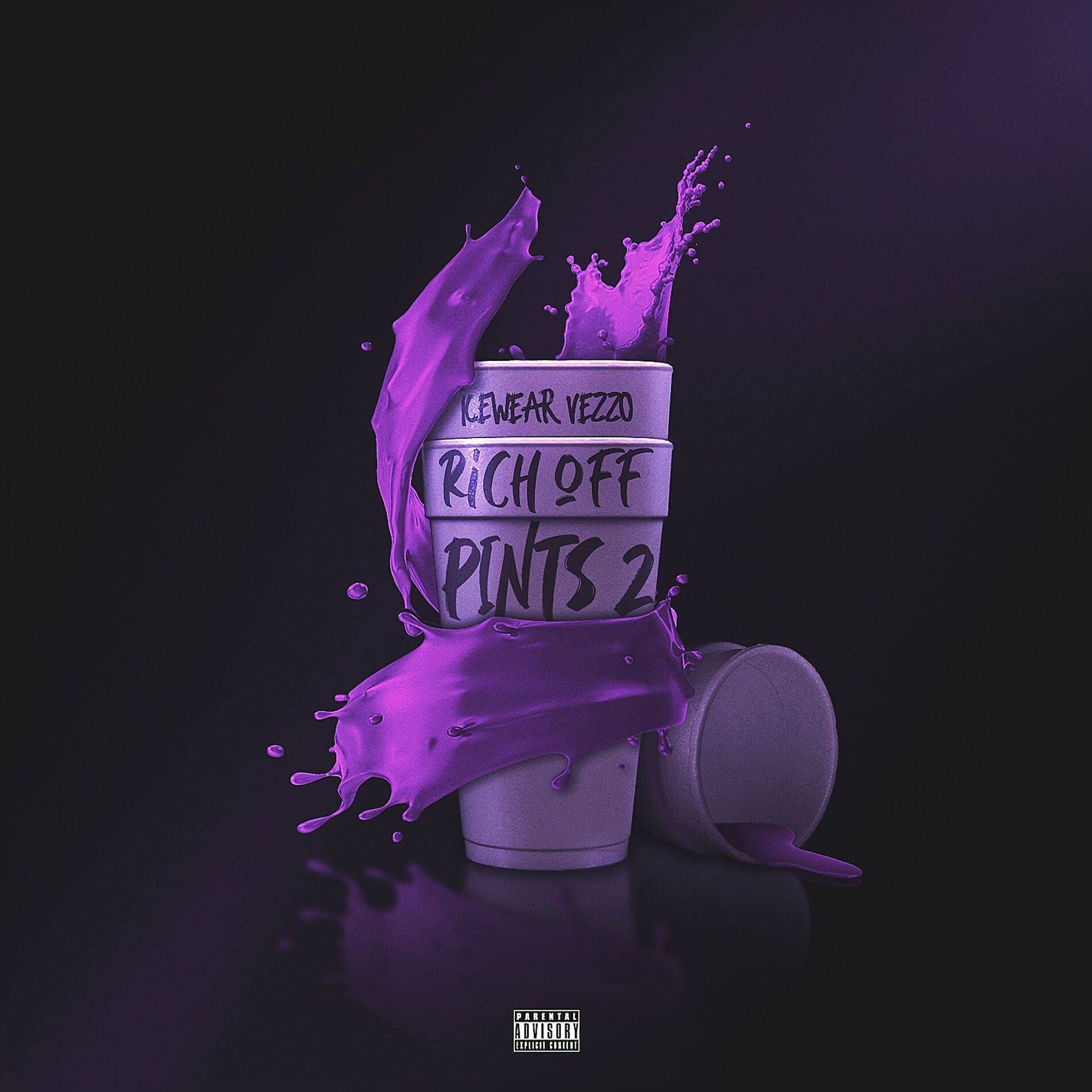 Album cover of Rich Off Pints 2