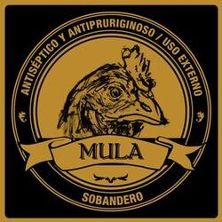 Cover of Sobandero