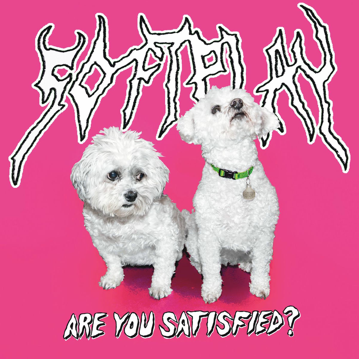 Album cover of Are You Satisfied?