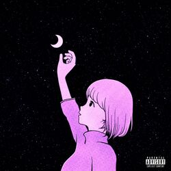 Cover of Reach for the Moon