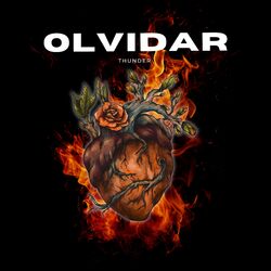 Cover of Olvidar