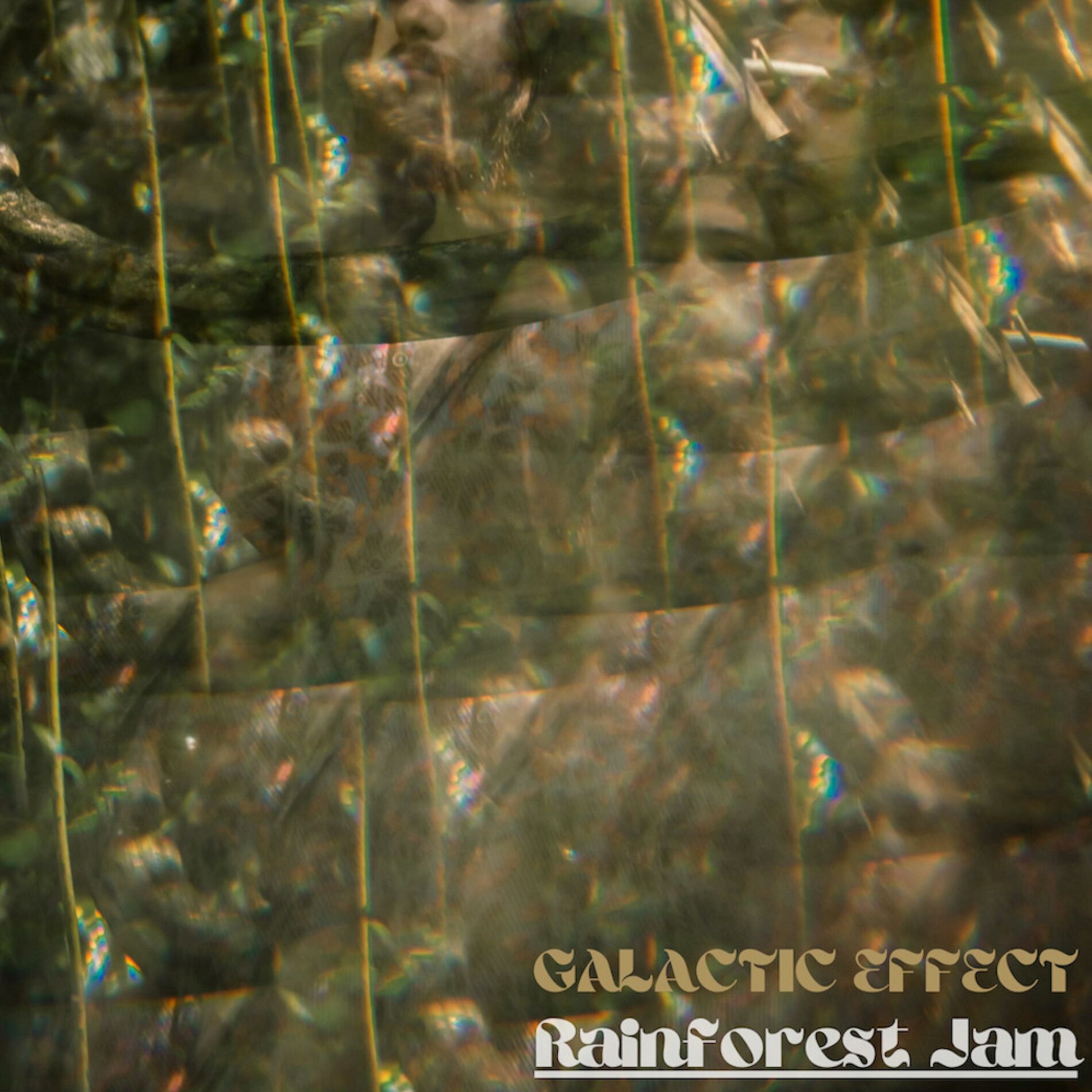 Album cover of Rainforest Jam