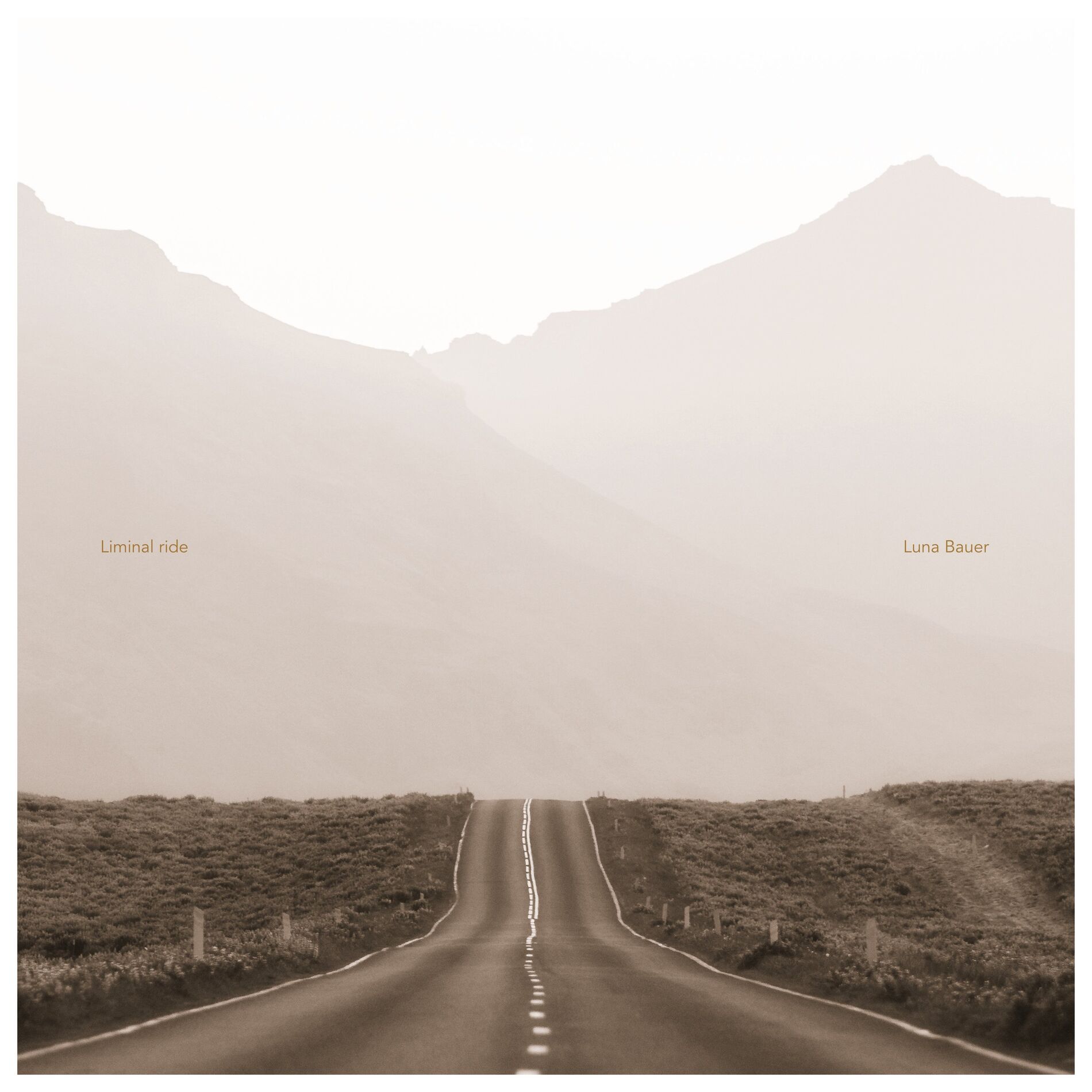 Album cover of Liminal ride