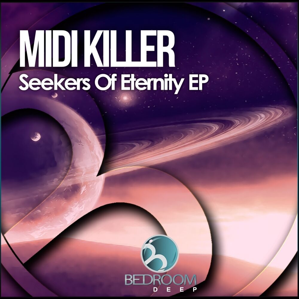 Picture of Seekers Of Eternity