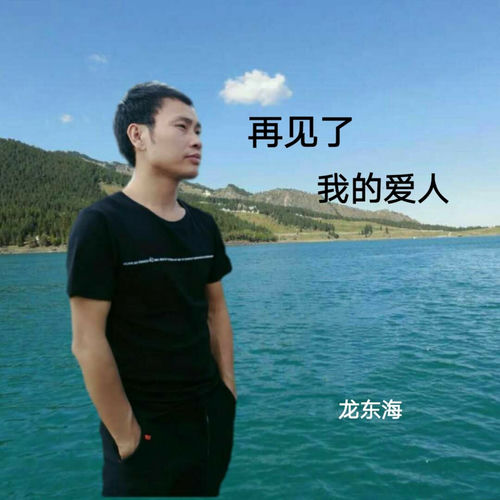 再见了我的爱人