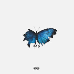 Cover of SAD