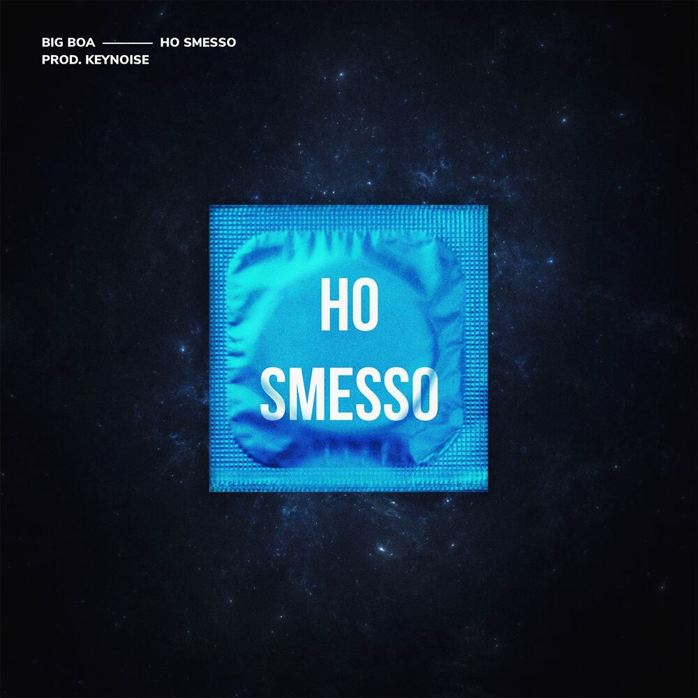 Picture of Ho smesso