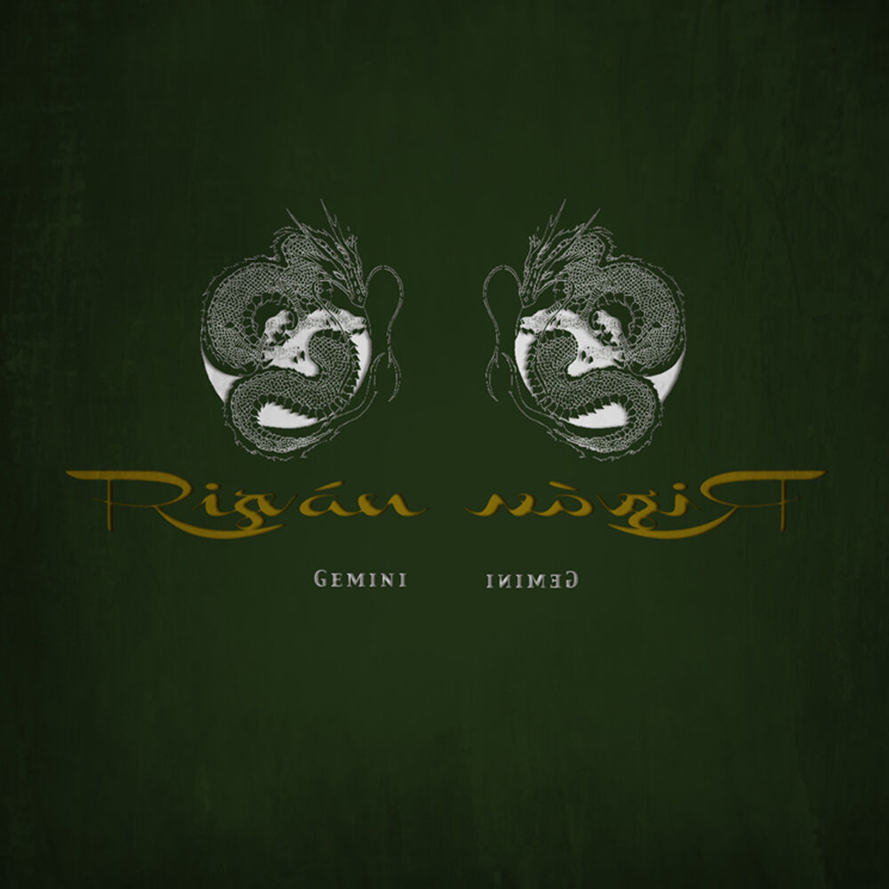 Picture of Gemini