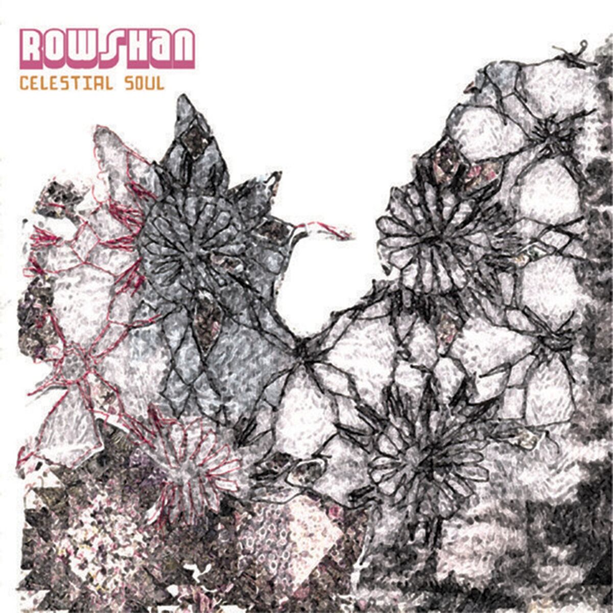 Album cover of Celestial Soul
