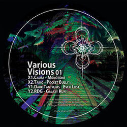Cover of Various Visions 01
