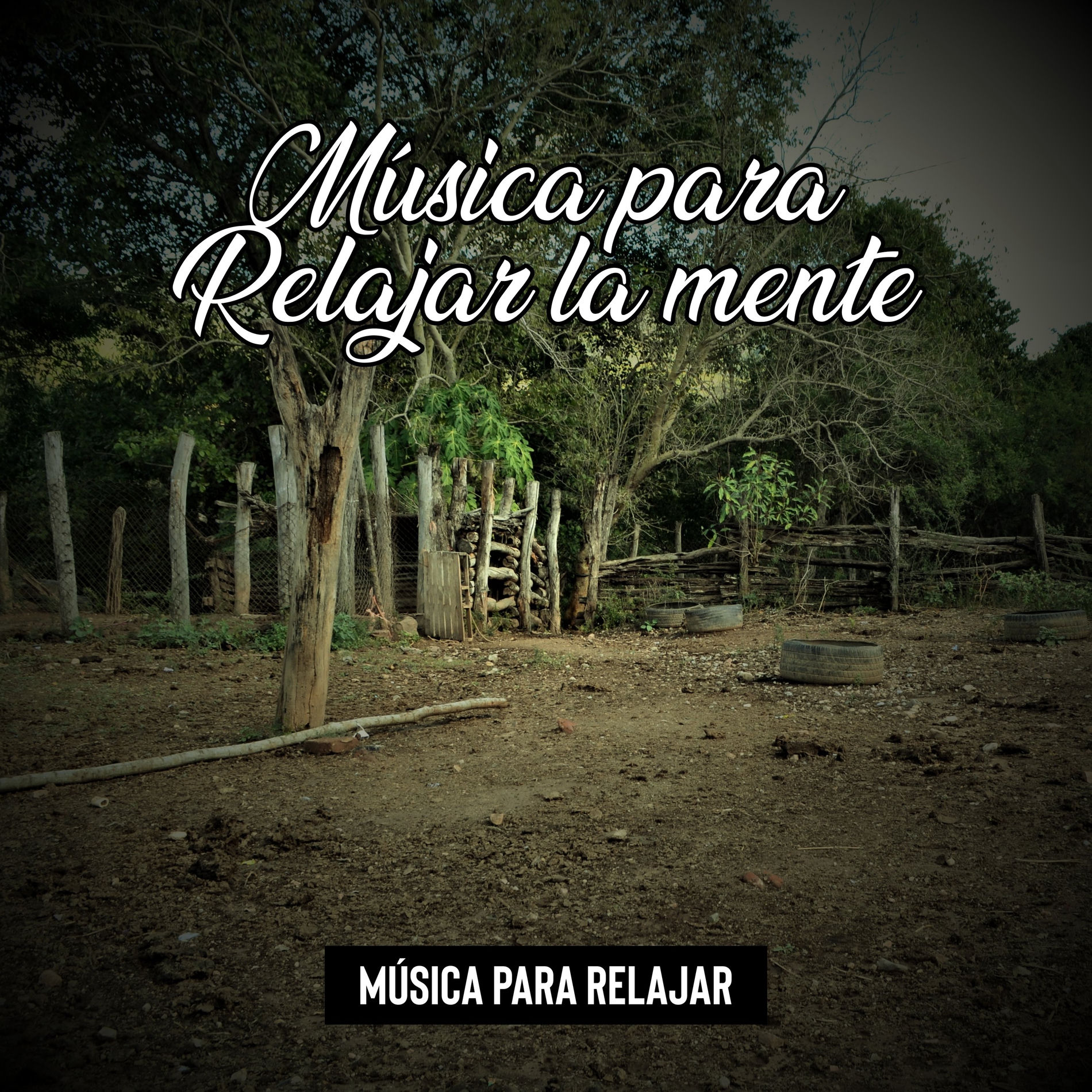 Album cover of Soñando Con las Nubes