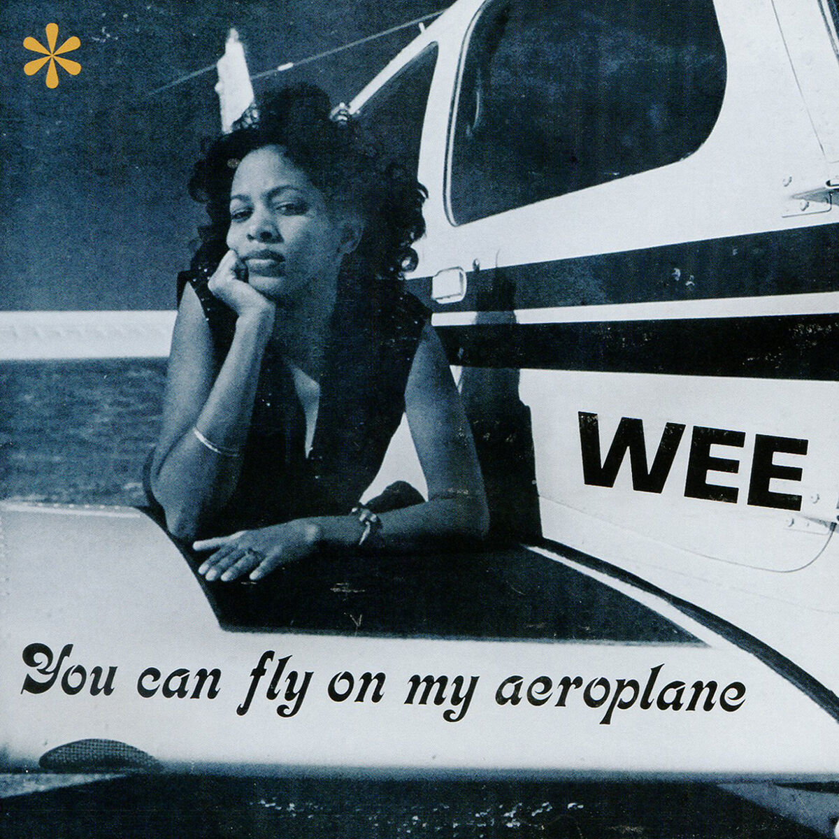 Album cover of You Can Fly On My Aeroplane