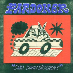 Cover of Came Down Different
