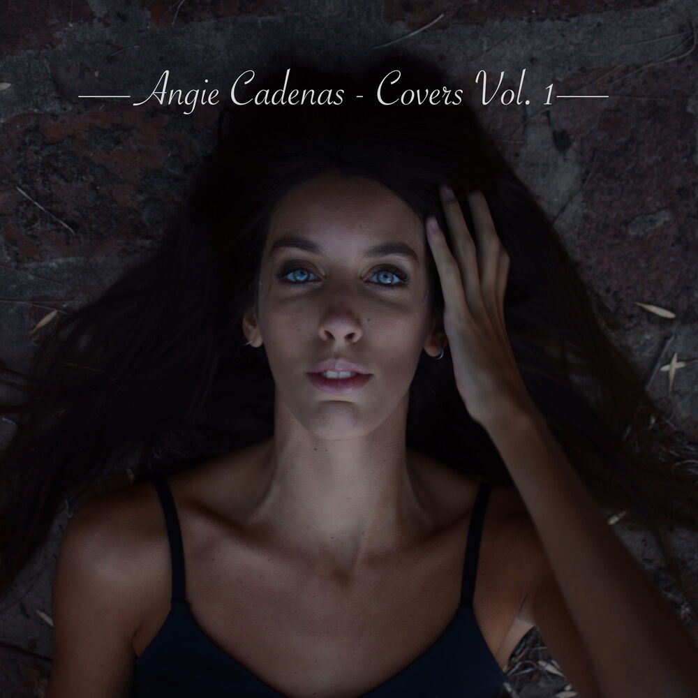 Picture of Covers, Vol. 1