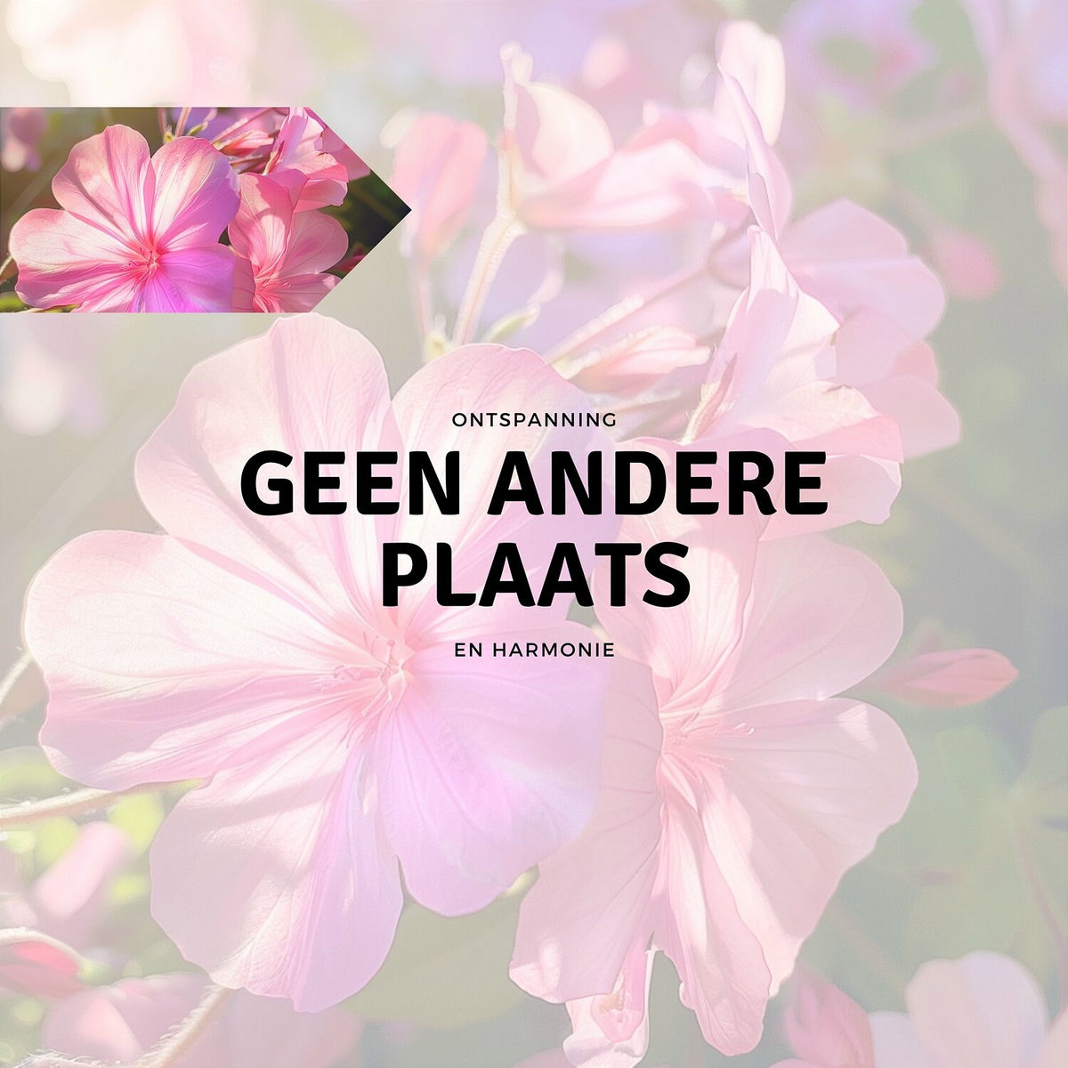 Album cover of Geen Andere Plaats