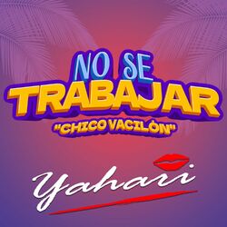Cover of No Se Trabajar "Chico Vacilón"