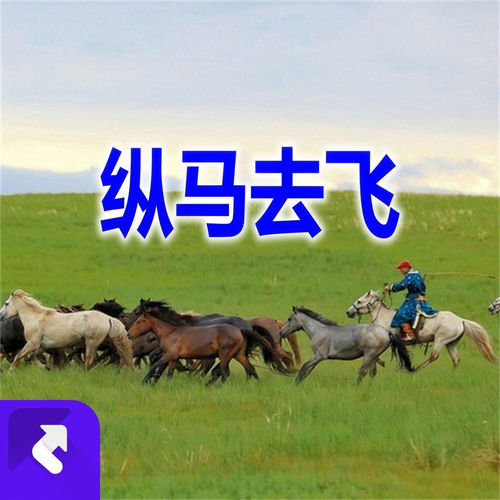 纵马去飞