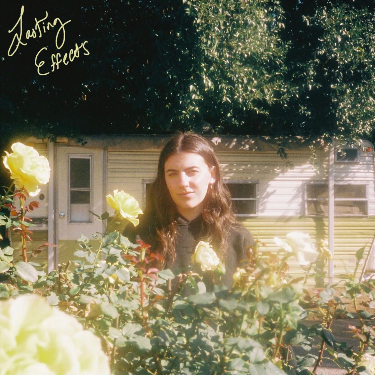 Album cover of Lasting Effects