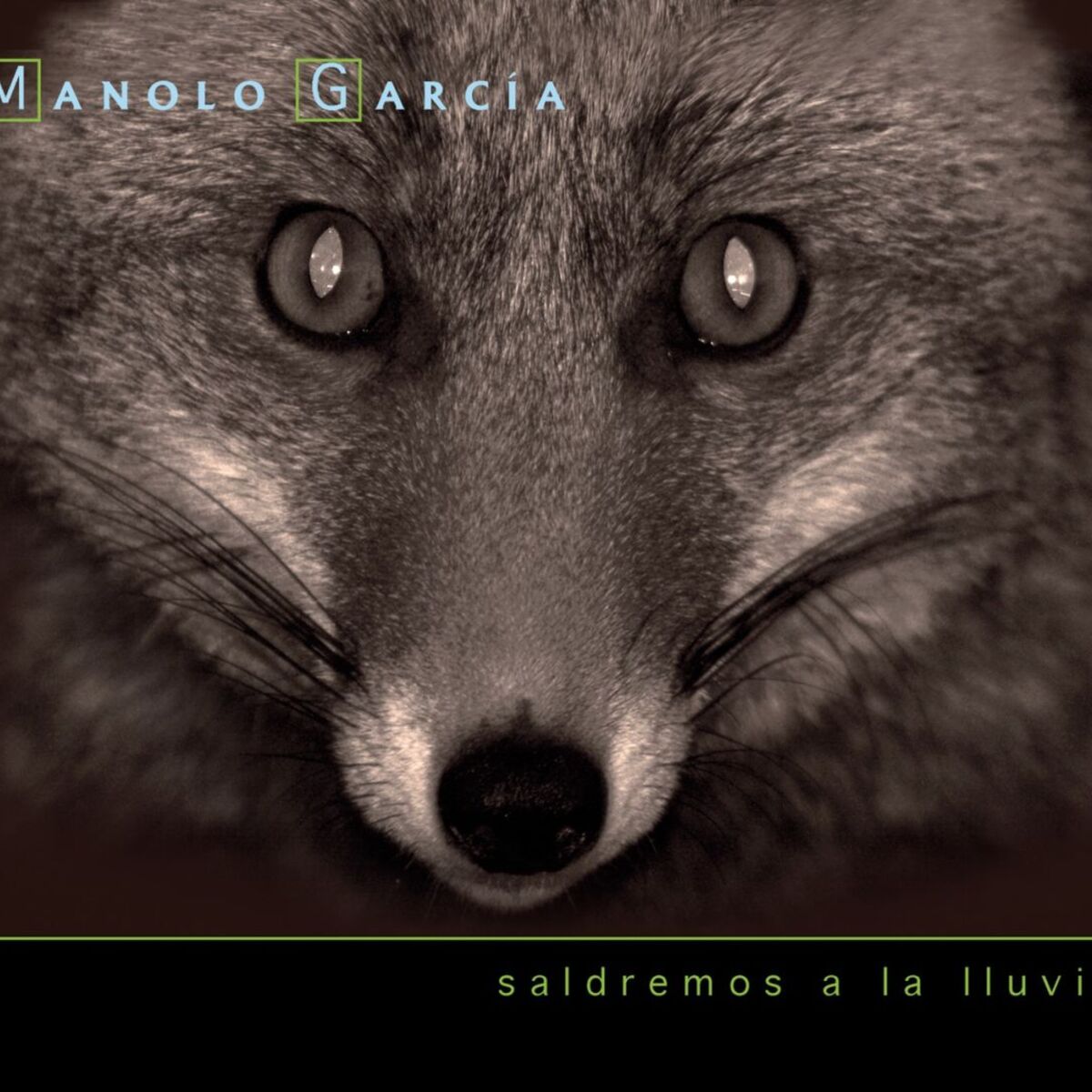 Album cover of Saldremos A La LLuvia