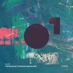 Cover of Flat Ground
