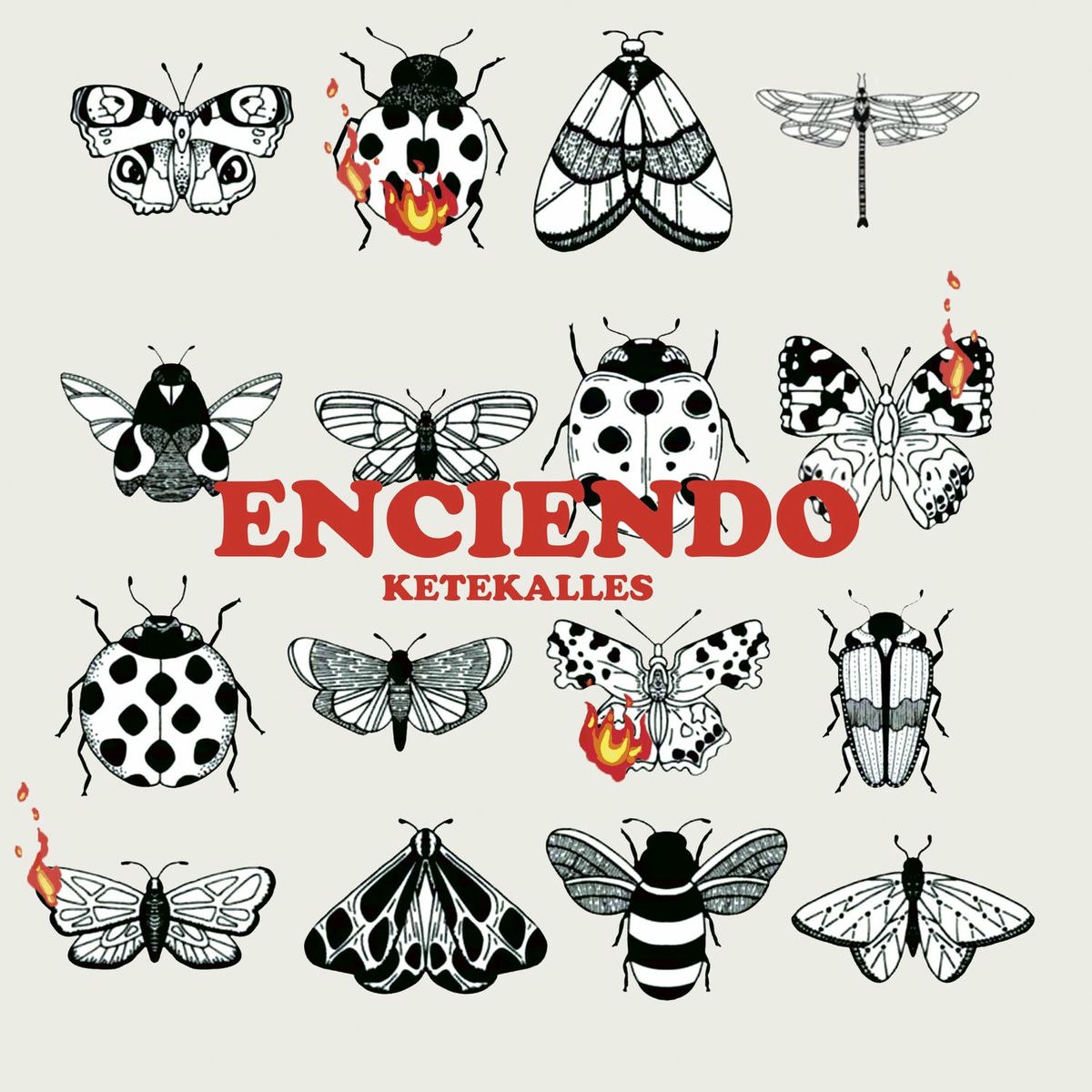 Album cover of Enciendo