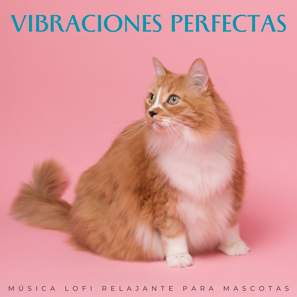 Picture of Vibraciones Perfectas: Música Lofi Relajante Para Mascotas