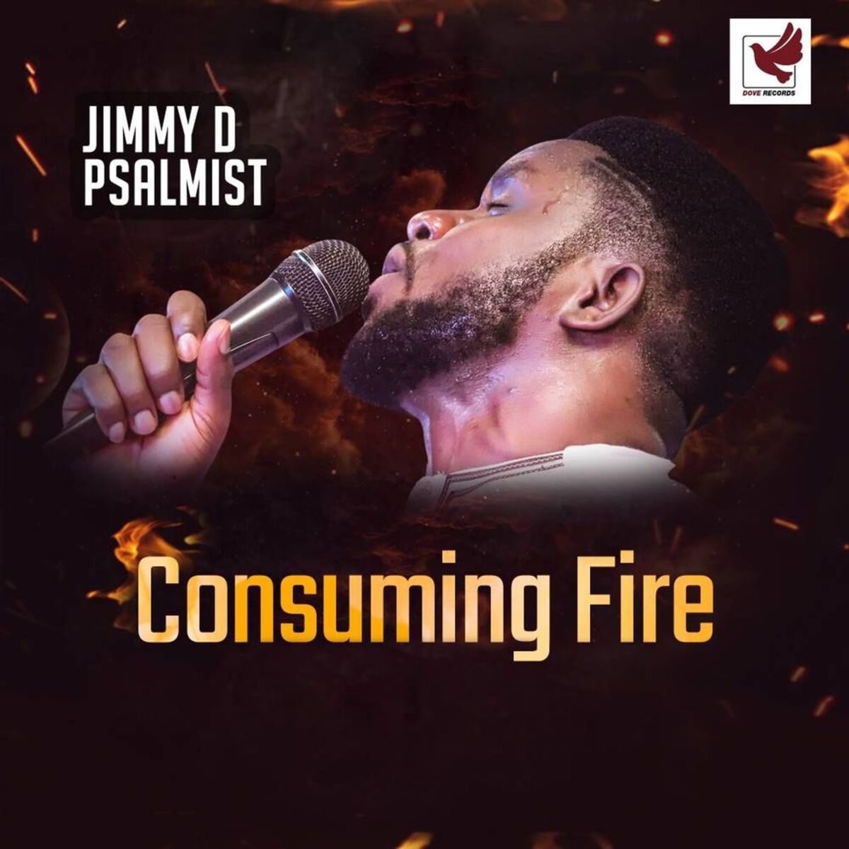 Album cover of Consuming Fire