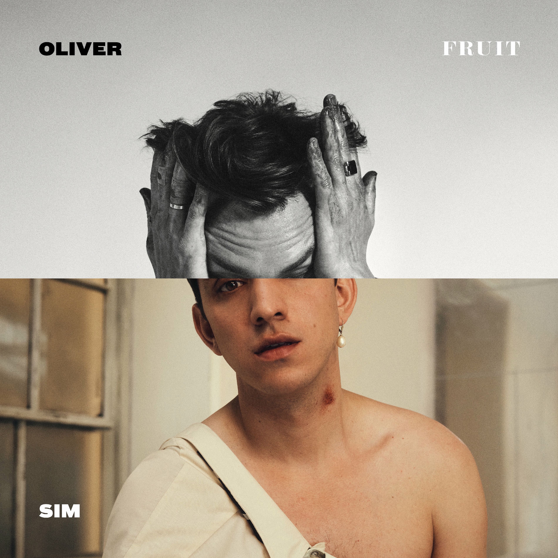 Album cover of Fruit