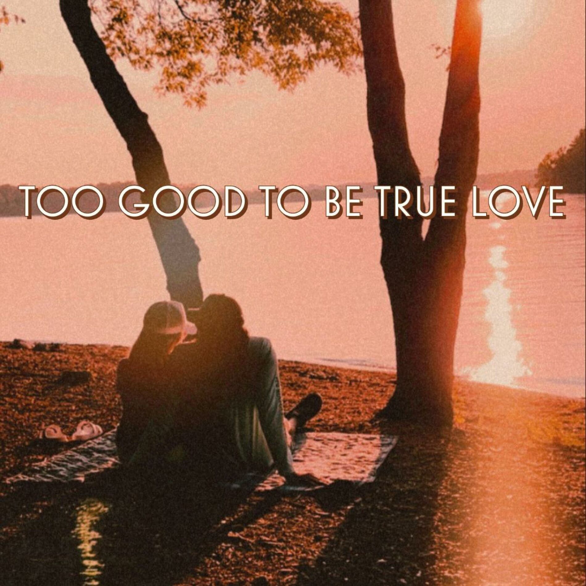 Album cover of Too Good To Be True Love