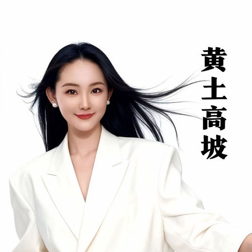 黄土高坡 (Dj版)