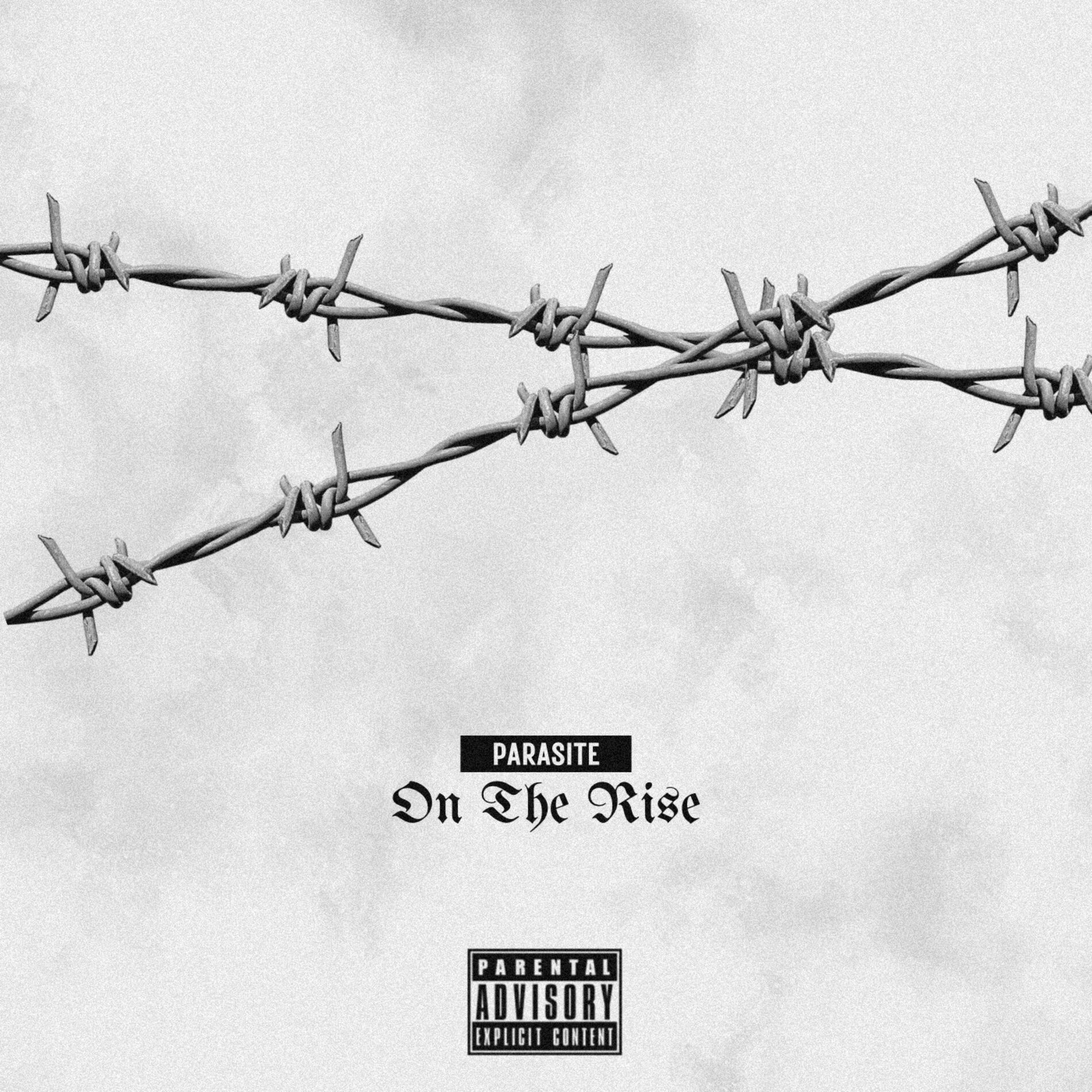 Album cover of On The Rise