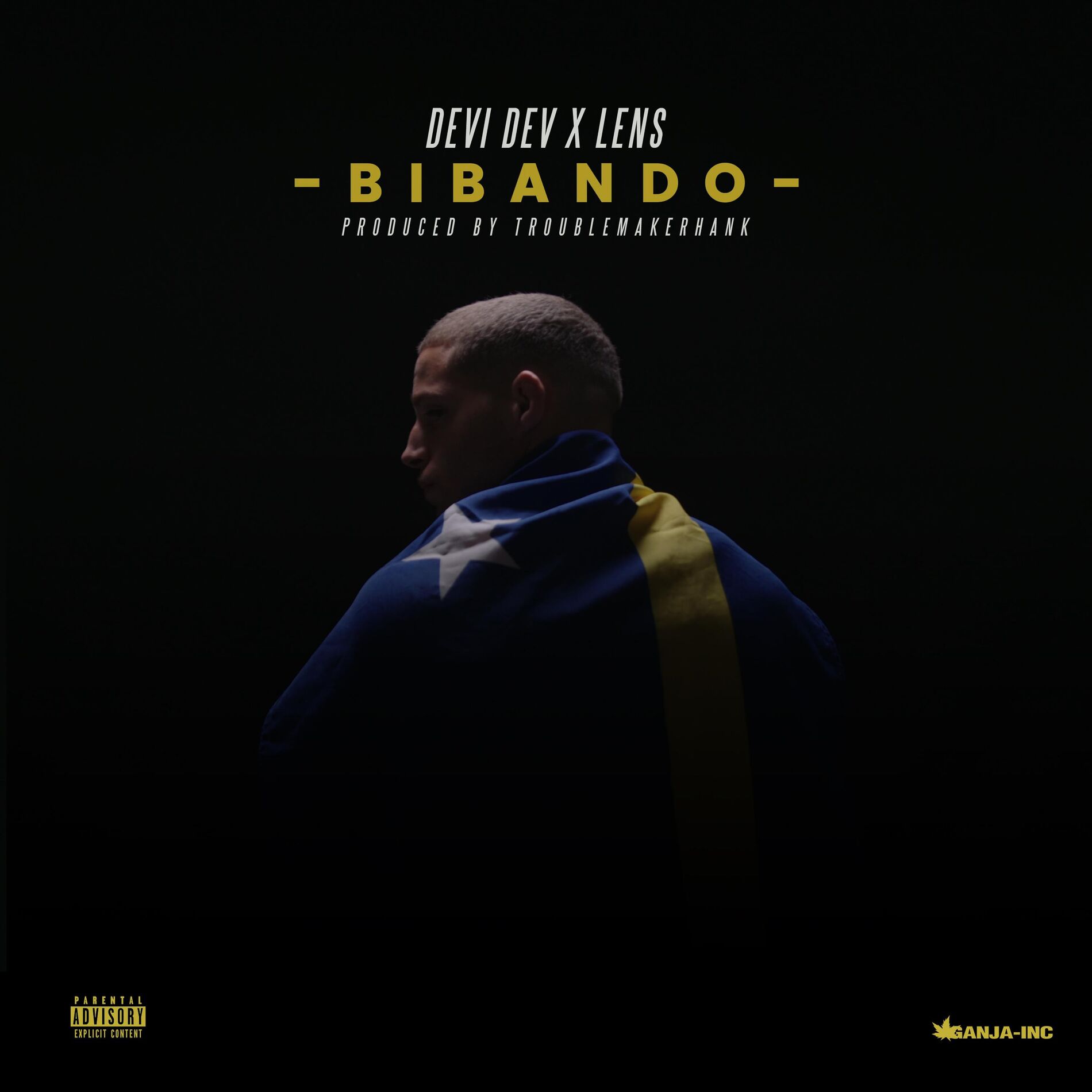 Album cover of Bibando (feat. Lens)