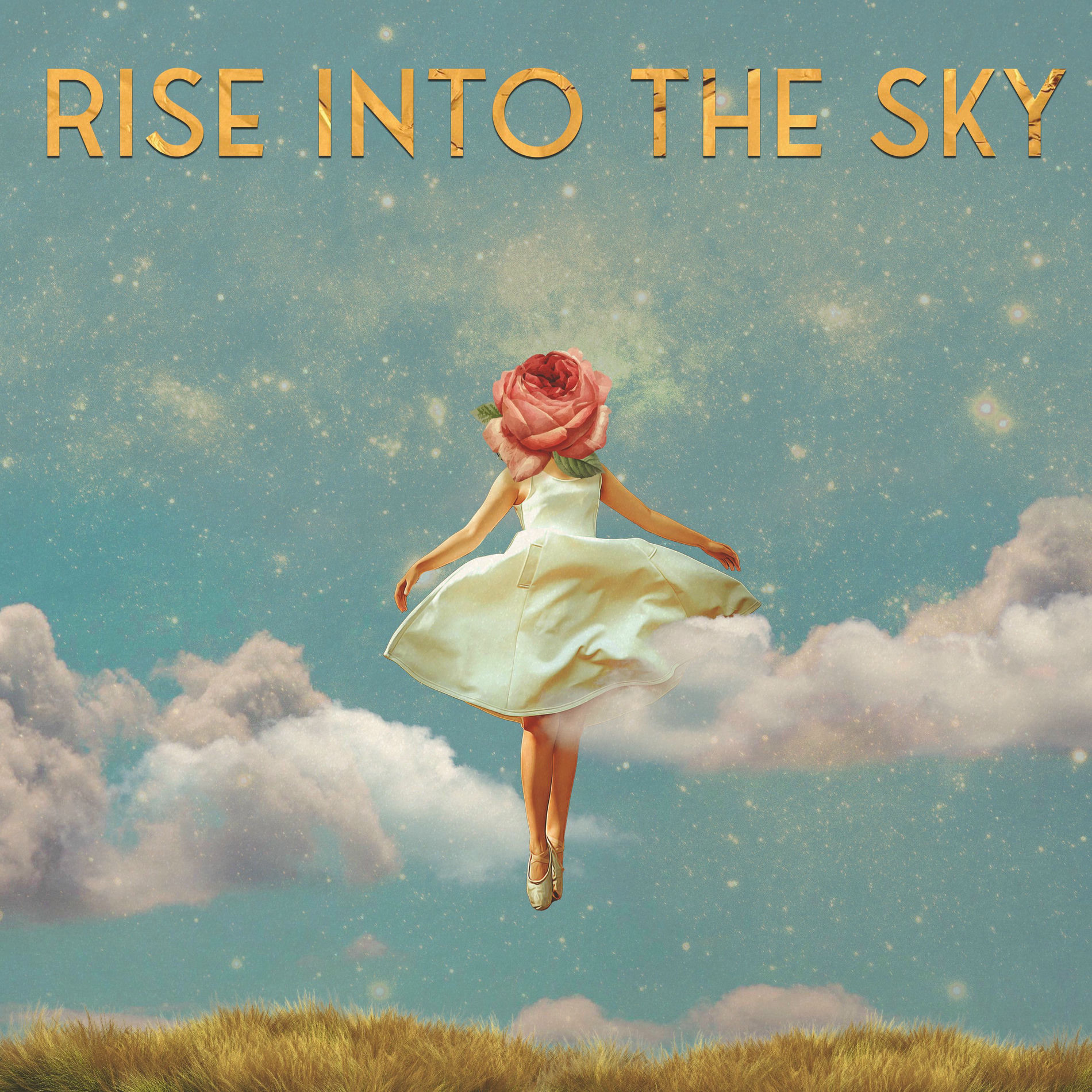 Album cover of Rise Into The Sky